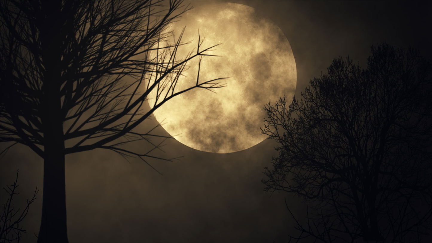 Full Moon Donation